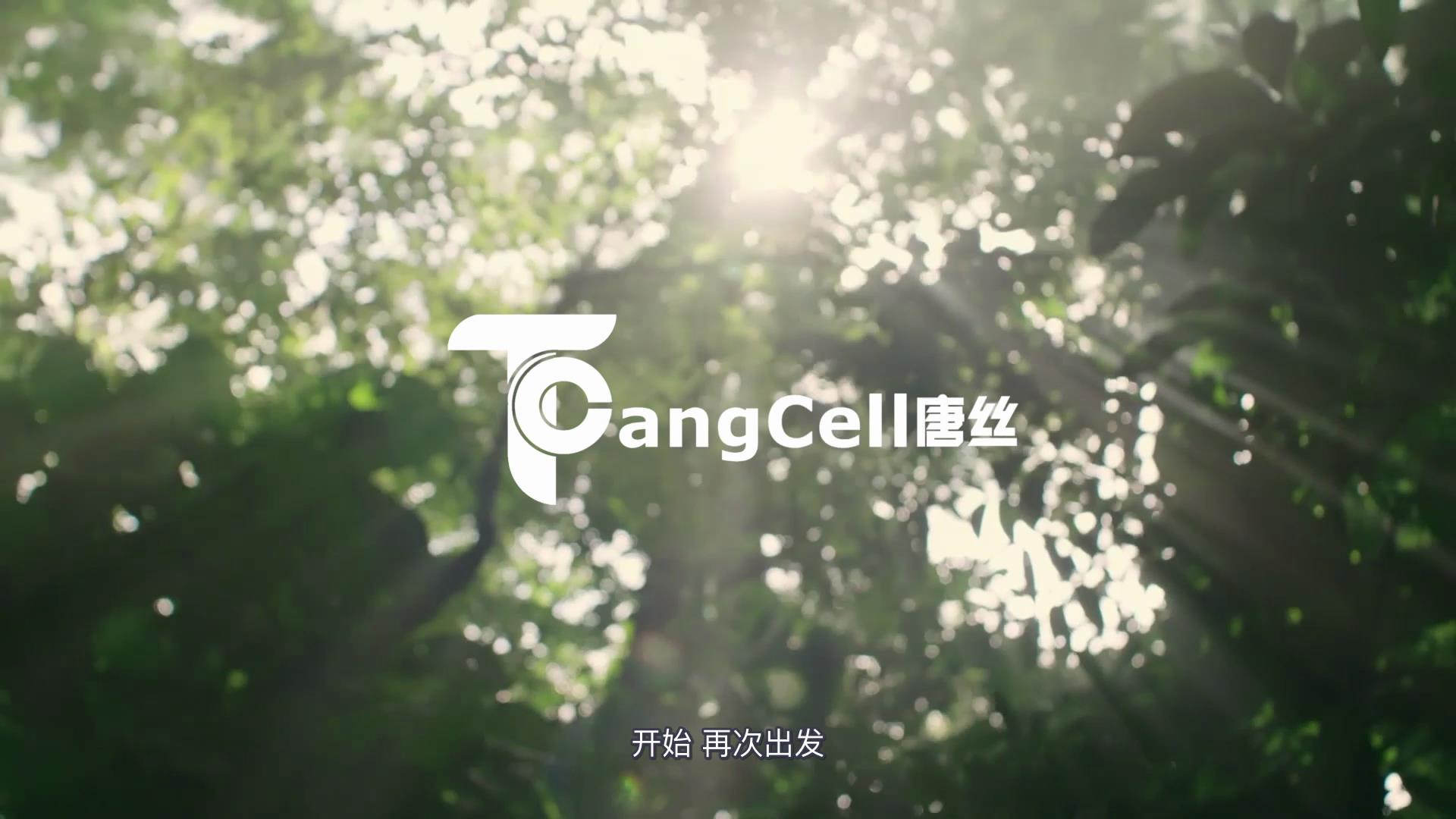 利来集团官网(W66)最给力的老牌