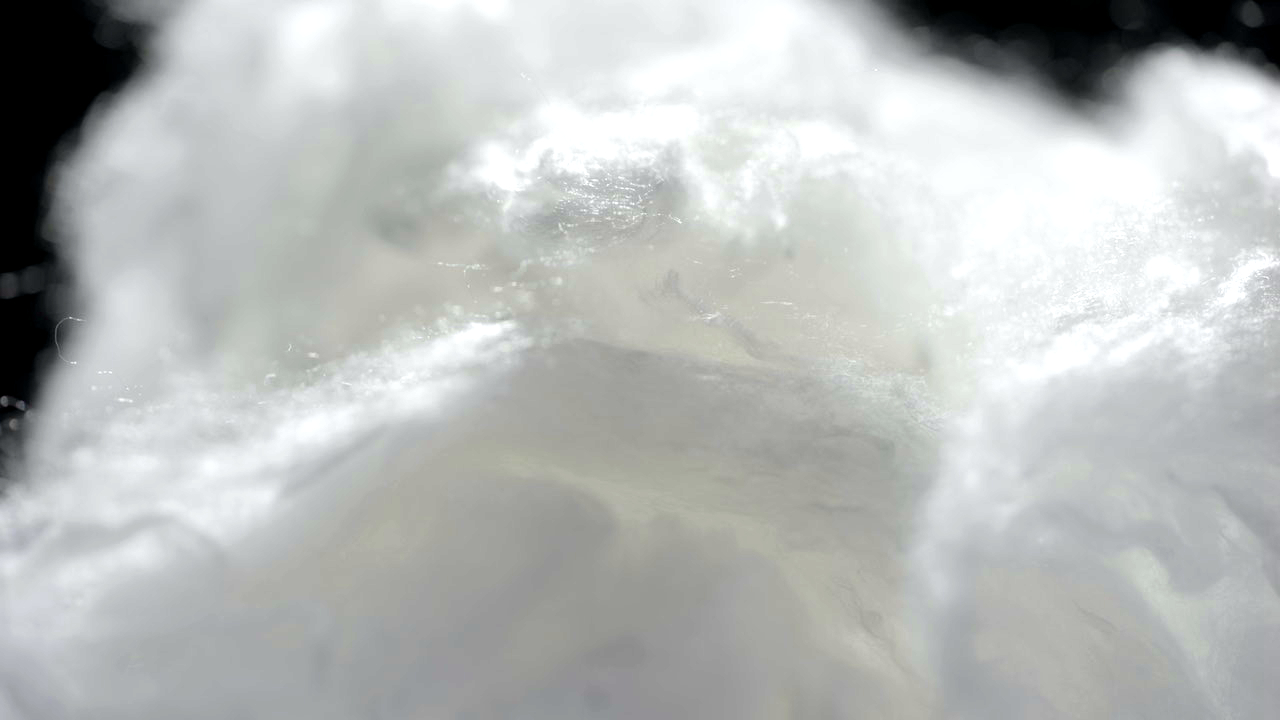 利来集团官网(W66)最给力的老牌